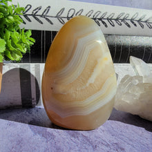 Load image into Gallery viewer, Agate Freeform "B"