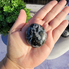Load image into Gallery viewer, Indigo Gabbro Palm Stones