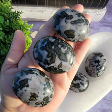 Load image into Gallery viewer, Indigo Gabbro Palm Stones