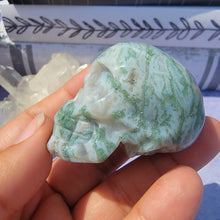 Load image into Gallery viewer, Moss Agate Skull "D"