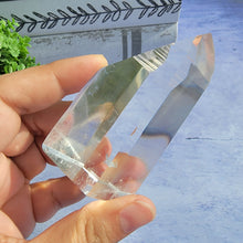 Load image into Gallery viewer, Semi Polished Lemurian Tower w/ Phantoms "D"