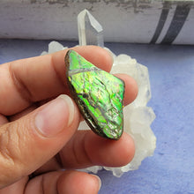 Load image into Gallery viewer, Ammolite "H"