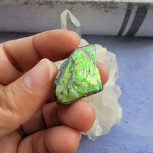 Load image into Gallery viewer, Ammolite "H"