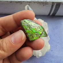 Load image into Gallery viewer, Ammolite "H"