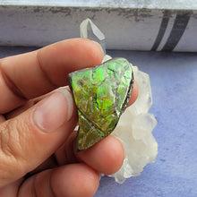 Load image into Gallery viewer, Ammolite "H"