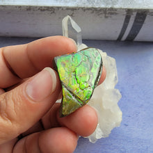 Load image into Gallery viewer, Ammolite "H"