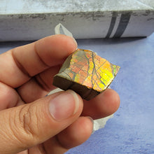 Load image into Gallery viewer, Ammolite "D"