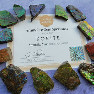 Ammolite "C"