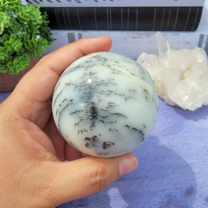 Dendritic Agate Sphere "B"