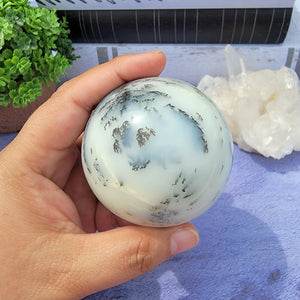 Dendritic Agate Sphere "B"