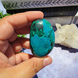 Chrysocolla Palm Stone "D"