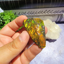 Load image into Gallery viewer, Ammolite &quot;C&quot;