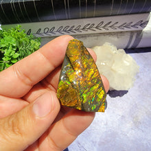 Load image into Gallery viewer, Ammolite &quot;C&quot;