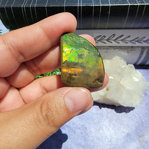 Ammolite "F"