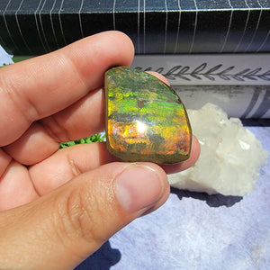 Ammolite "F"