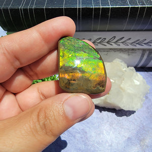 Ammolite "F"