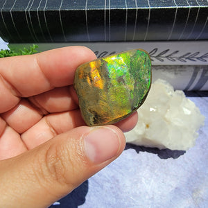 Ammolite "F"