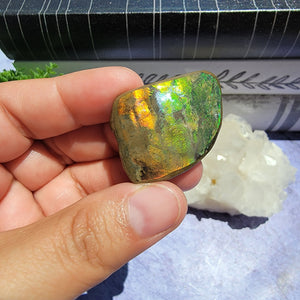 Ammolite "F"