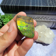 Load image into Gallery viewer, Ammolite &quot;F&quot;