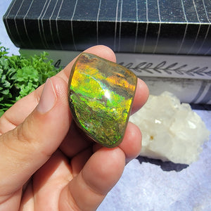 Ammolite "F"