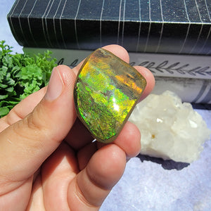 Ammolite "F"