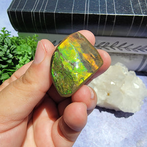 Ammolite "F"