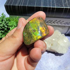 Ammolite "F"