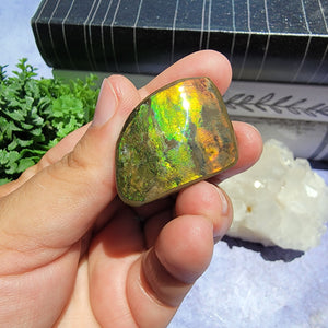 Ammolite "F"