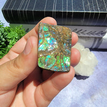 Load image into Gallery viewer, Ammolite &quot;J&quot;