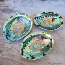 Load image into Gallery viewer, Abalone Shells