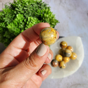 Crazy Lace Agate Mini Spheres