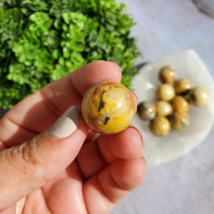 Crazy Lace Agate Mini Spheres