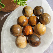 Load image into Gallery viewer, Petrified Wood Mini Spheres