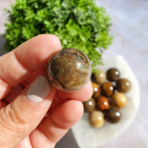 Petrified Wood Mini Spheres