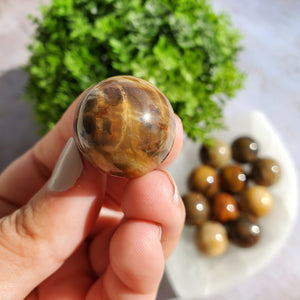 Petrified Wood Mini Spheres