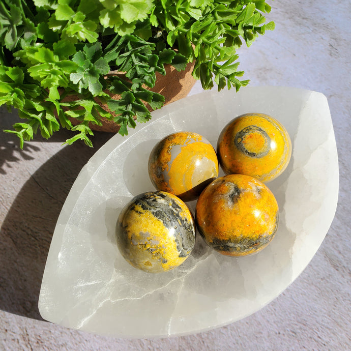 Bumblebee Jasper Mini Spheres