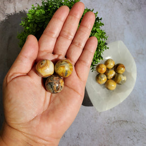 Crazy Lace Agate Mini Spheres