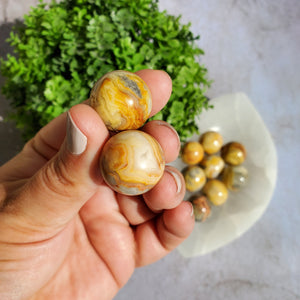 Crazy Lace Agate Mini Spheres