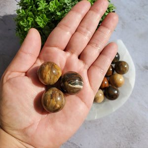 Petrified Wood Mini Spheres