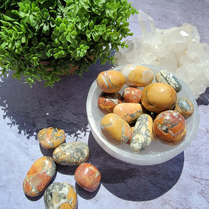 Maligano Jasper Tumbled Stones