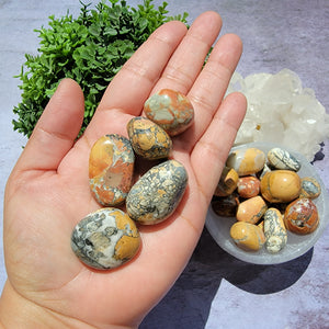 Maligano Jasper Tumbled Stones