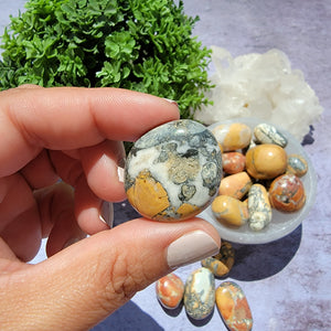 Maligano Jasper Tumbled Stones