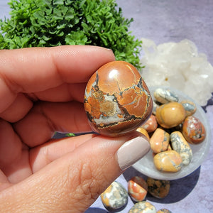 Maligano Jasper Tumbled Stones