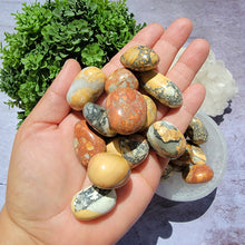 Load image into Gallery viewer, Maligano Jasper Tumbled Stones