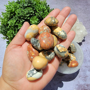 Maligano Jasper Tumbled Stones