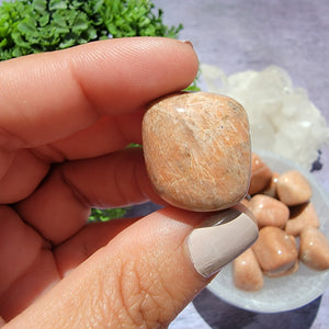 Peach Moonstone Tumbled Stones