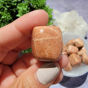 Peach Moonstone Tumbled Stones