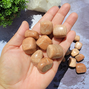 Peach Moonstone Tumbled Stones