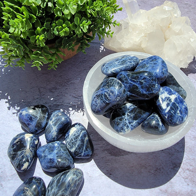 Sodalite Tumbled Stones