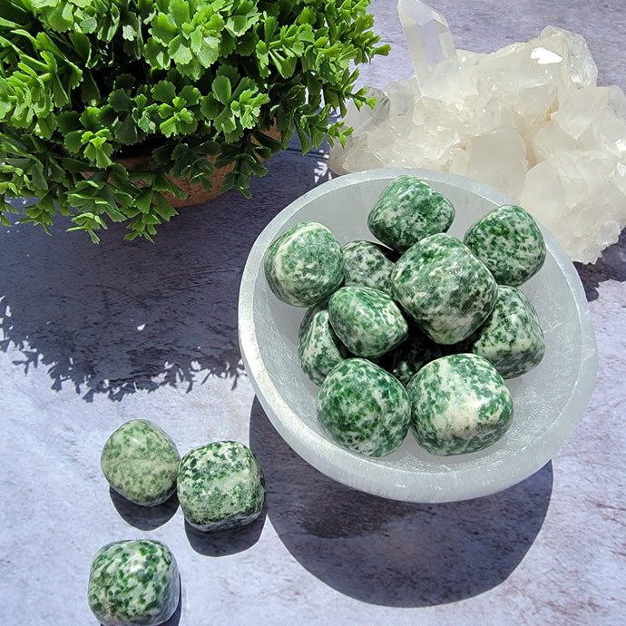 Tree Agate Tumbled Stones